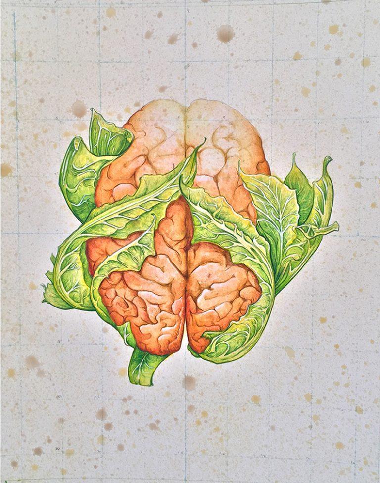 a painting of a brain cabbage by Mike Lind