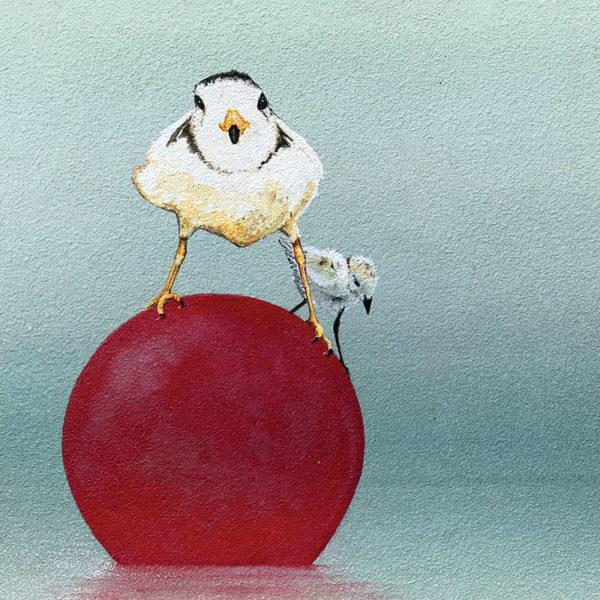 (Piping Plover) artwork by Mike Lind